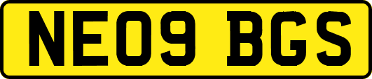 NE09BGS