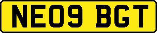 NE09BGT