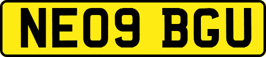 NE09BGU