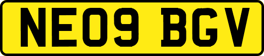 NE09BGV