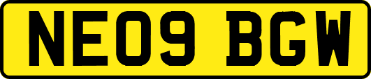 NE09BGW