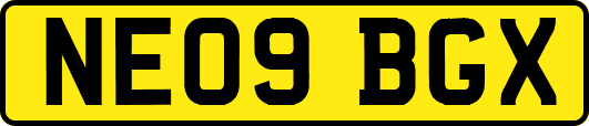 NE09BGX