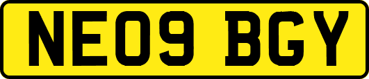 NE09BGY