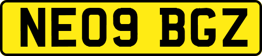 NE09BGZ