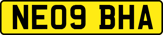 NE09BHA