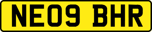 NE09BHR