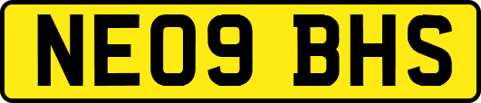 NE09BHS