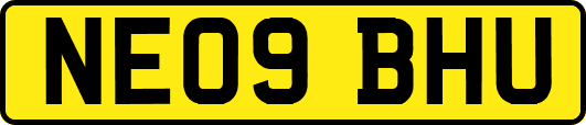 NE09BHU
