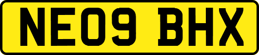 NE09BHX