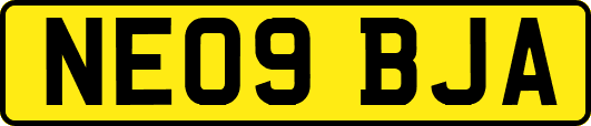 NE09BJA