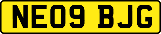 NE09BJG