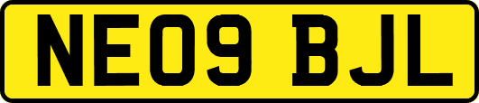NE09BJL