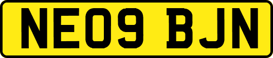 NE09BJN