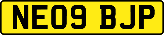 NE09BJP