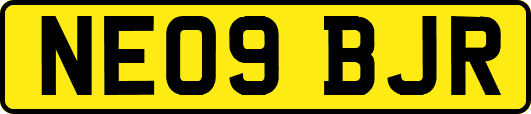 NE09BJR