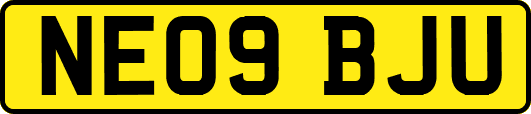 NE09BJU
