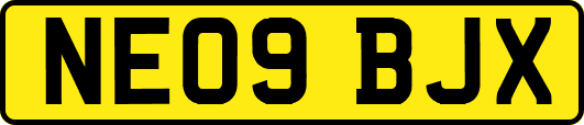 NE09BJX