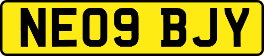NE09BJY