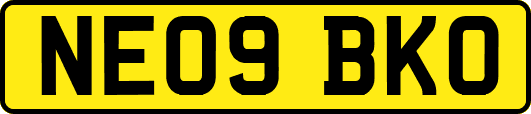 NE09BKO