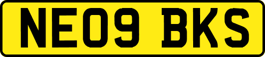 NE09BKS