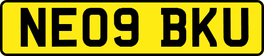 NE09BKU