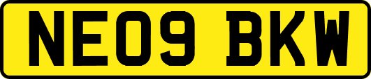 NE09BKW