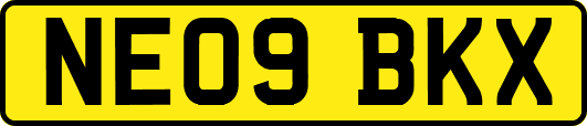 NE09BKX