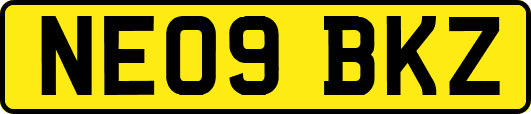 NE09BKZ