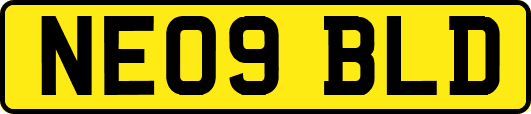NE09BLD