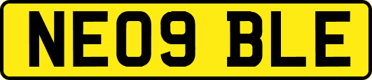 NE09BLE