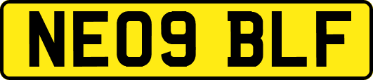 NE09BLF