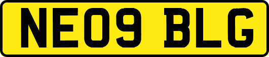 NE09BLG