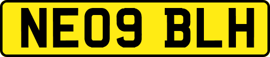 NE09BLH