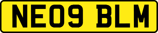 NE09BLM
