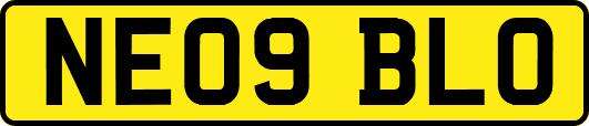 NE09BLO