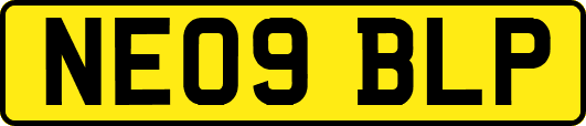 NE09BLP