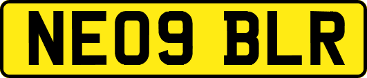 NE09BLR