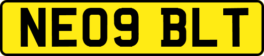 NE09BLT