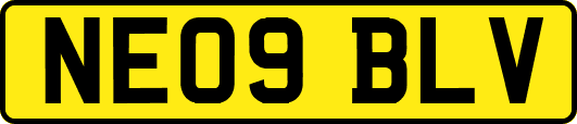 NE09BLV