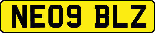 NE09BLZ