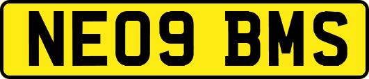 NE09BMS