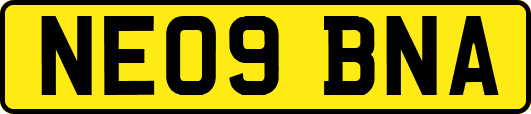 NE09BNA