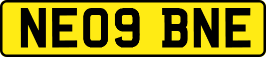 NE09BNE