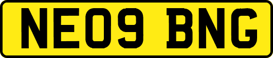 NE09BNG