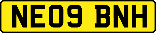 NE09BNH