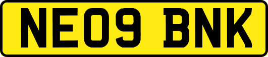NE09BNK