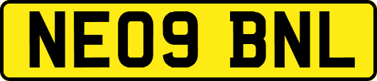 NE09BNL