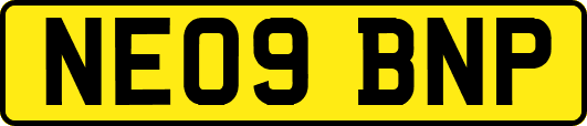 NE09BNP