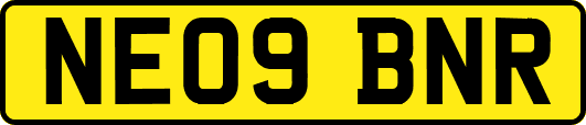 NE09BNR