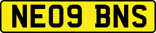 NE09BNS